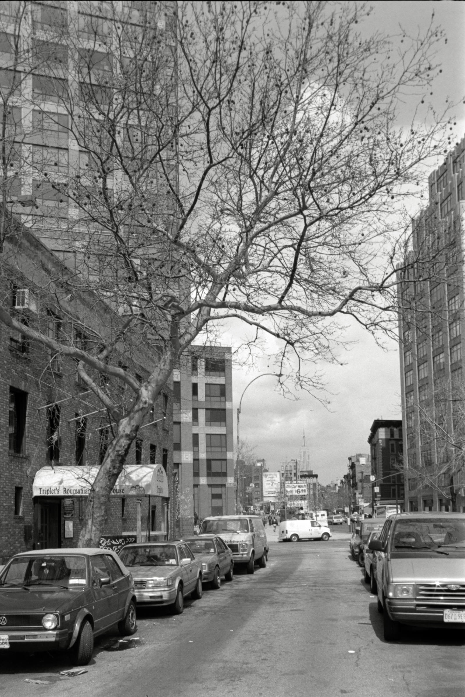 AHP F1995 04 005 sc240817 img19 NLP